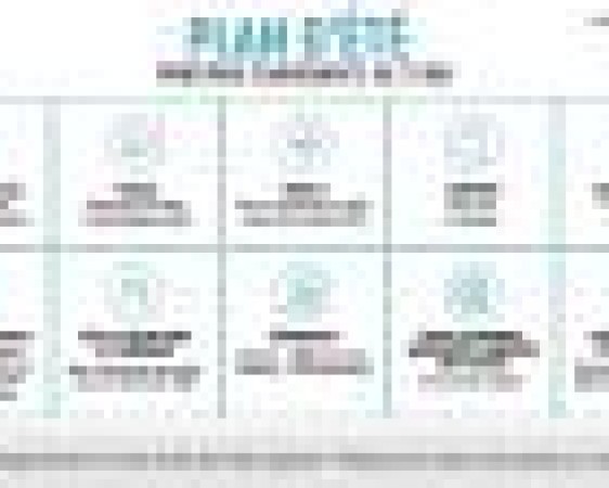 cette image est décrite dans le texte ci-dessous